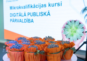 Ilustratīvs attēls - apsveikumi absolventiem - oranži puķu podiņi