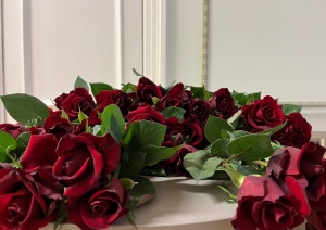 Tumši sarkanas rozes valsts svētku norises vietā.