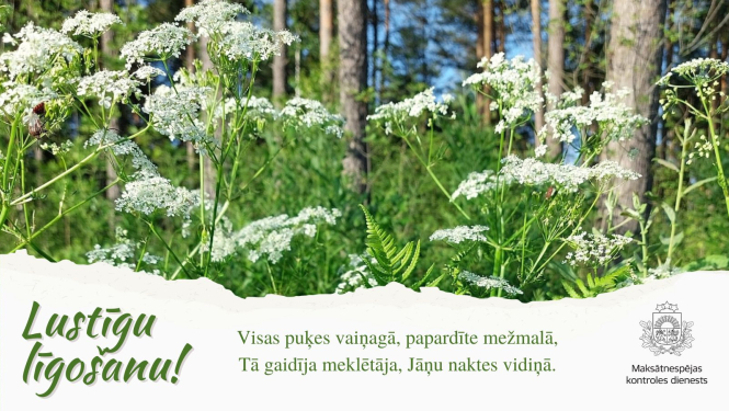 Balti suņuburkšķi un paparedes mežā. 