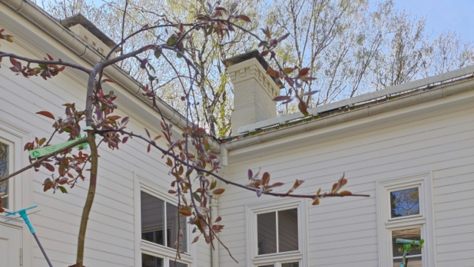 Talka Vecāku mājā