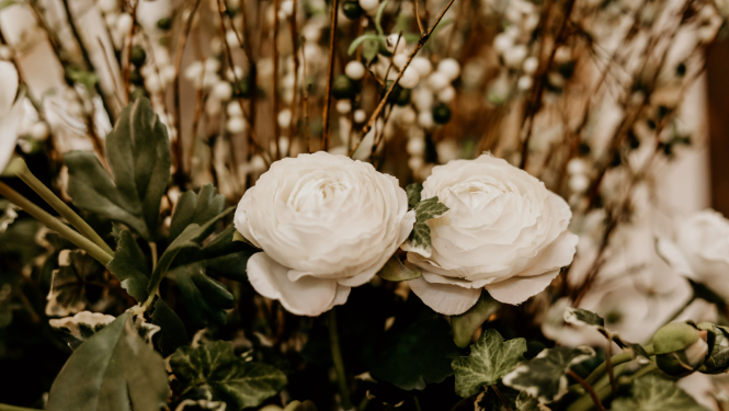 TM apbalvojumi 2021.gadā. Baltas rozes.