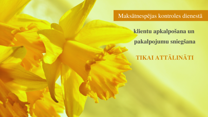 Klientu apkalpošana 2022.gada martā -foto ar dzeltenām narcisēm