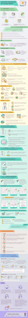Insolvency proceedings of a natural person