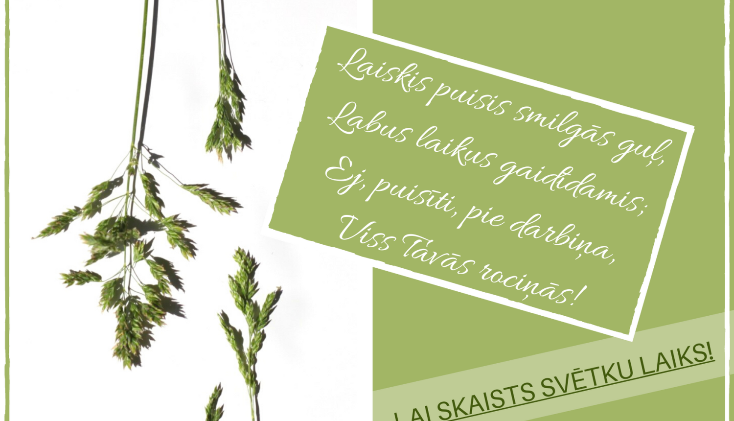 PRIECĪGUS LĪGO SVĒTKUS!