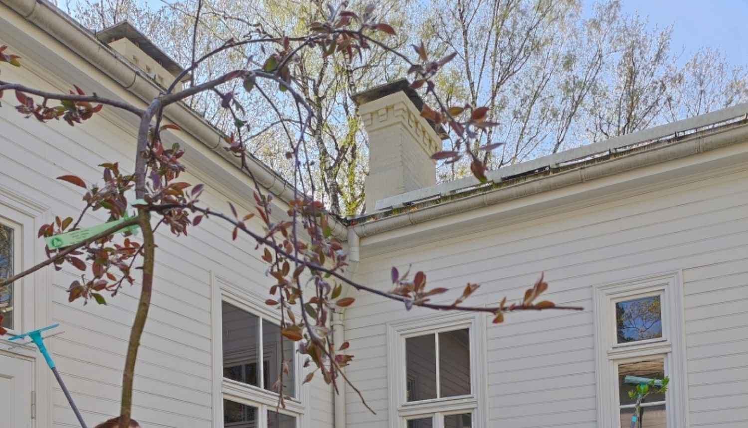 Talka Vecāku mājā