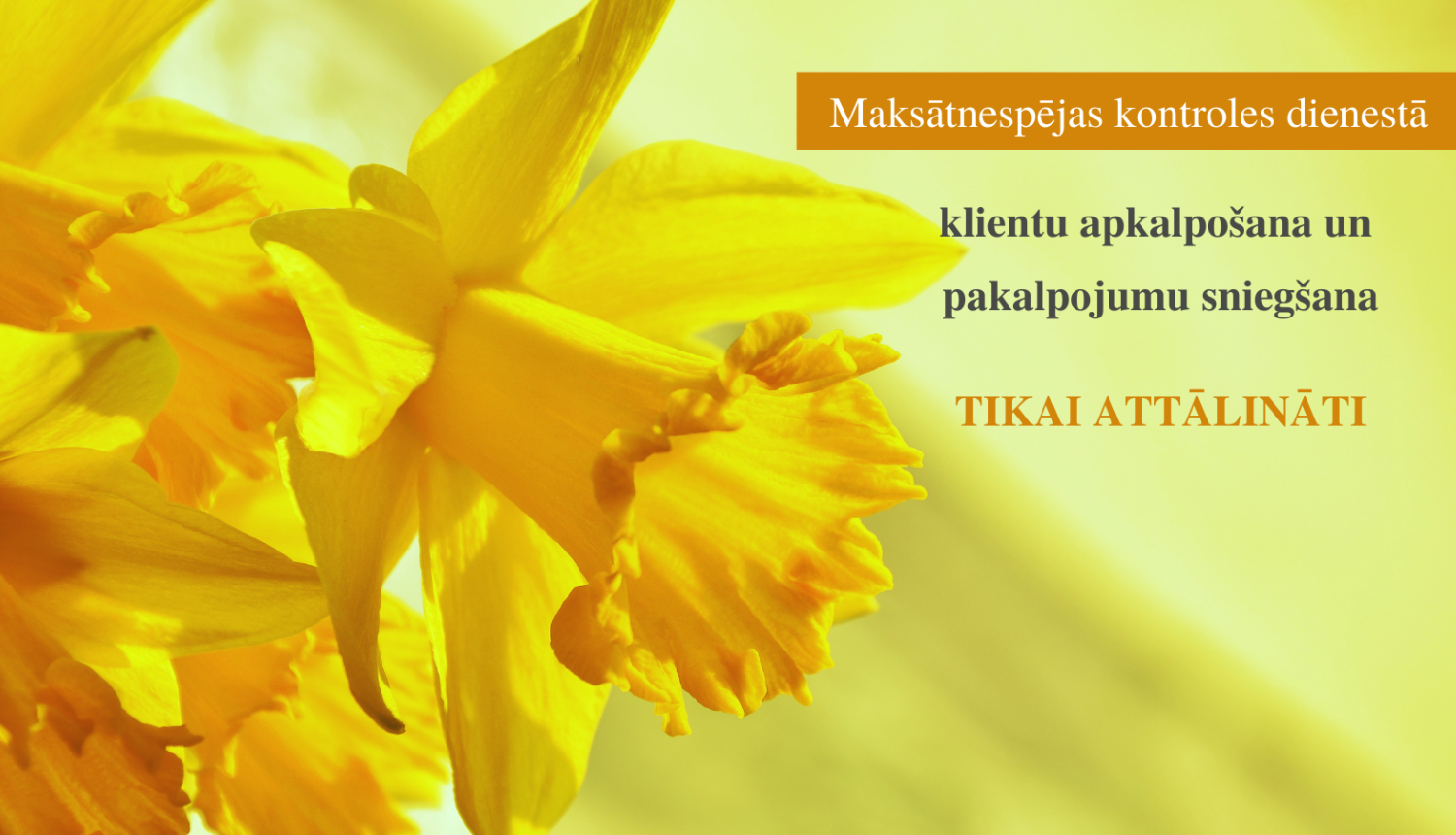 Klientu apkalpošana 2022.gada martā -foto ar dzeltenām narcisēm