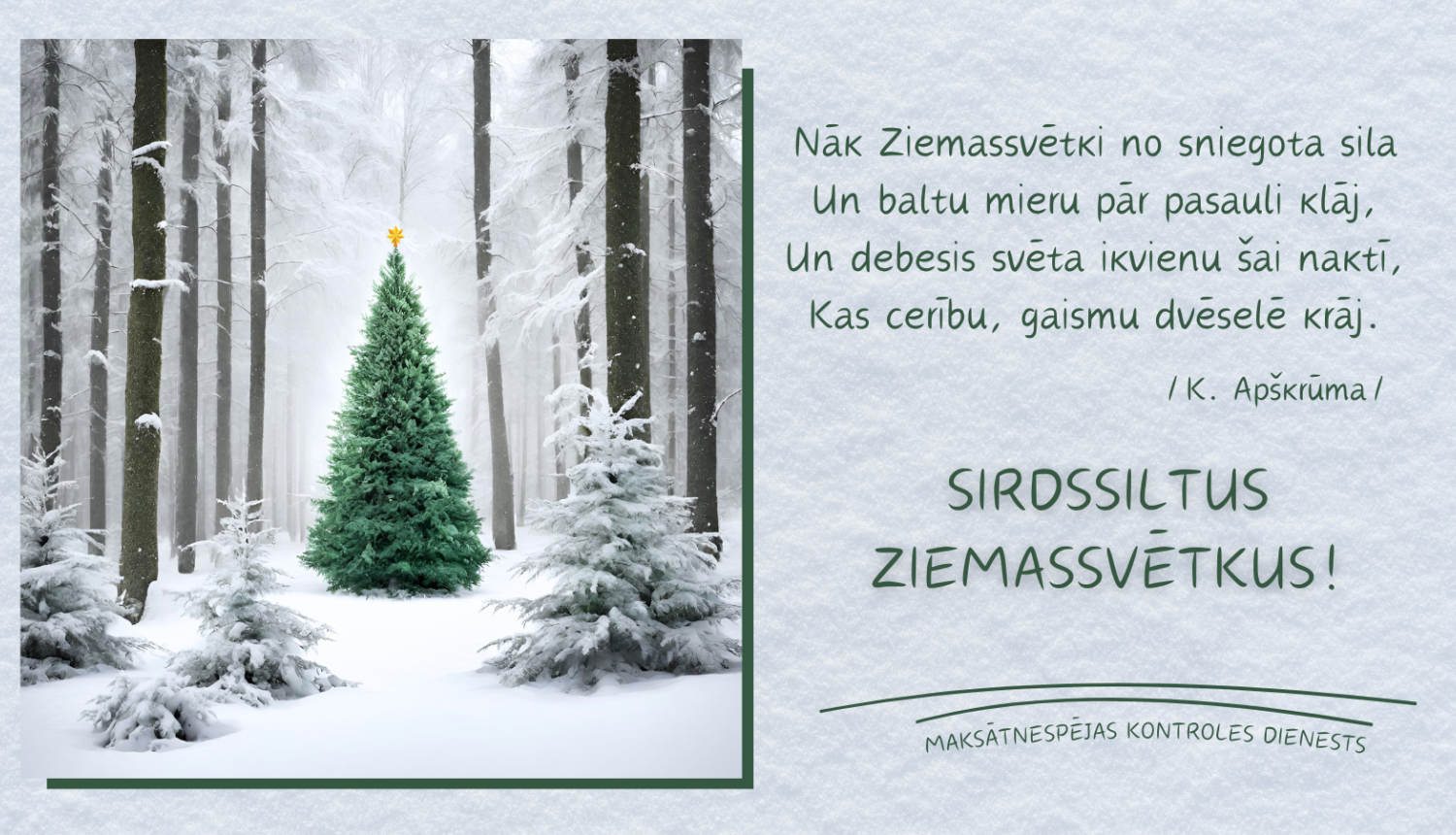 Baltā mežā zaļa Ziemassvētku eglīte