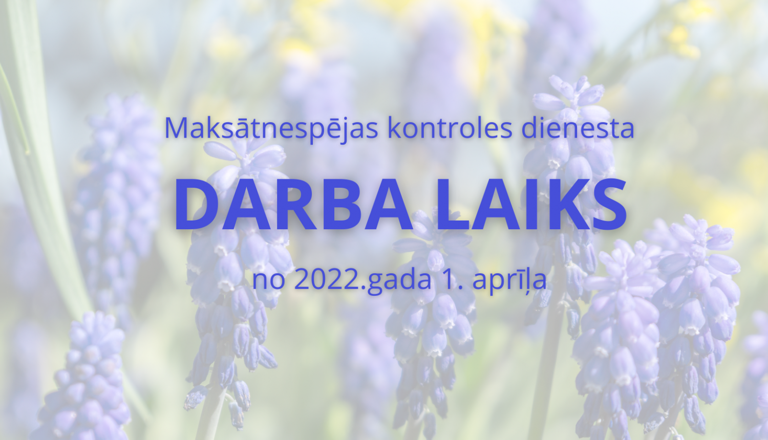 Zili pavasara ziedi, kas norāda uz MKD darba laiku no 2022.gada 1.aprīļa. 