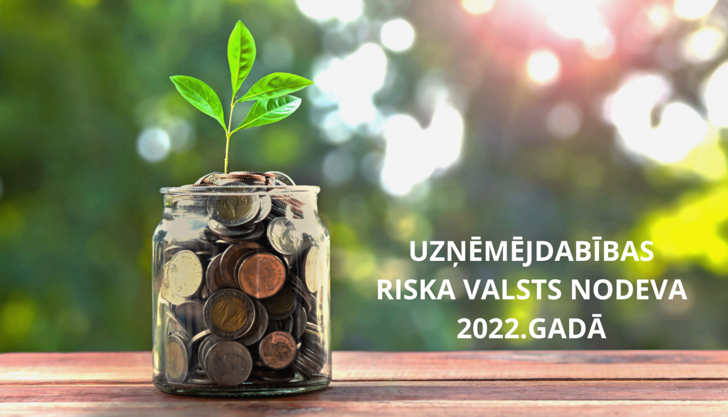 Burciņā nauda, no kuras aug koks